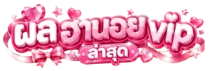 ฮานอยเฉพาะกิจ vip