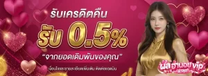 ฮานอยเฉพาะกิจ vip-mb